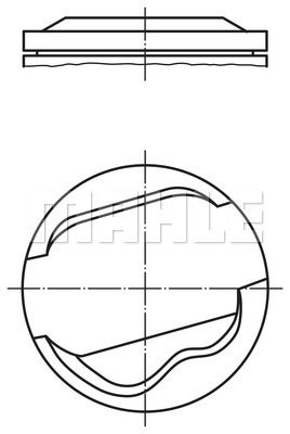 WILMINK GROUP Männät WG1236729